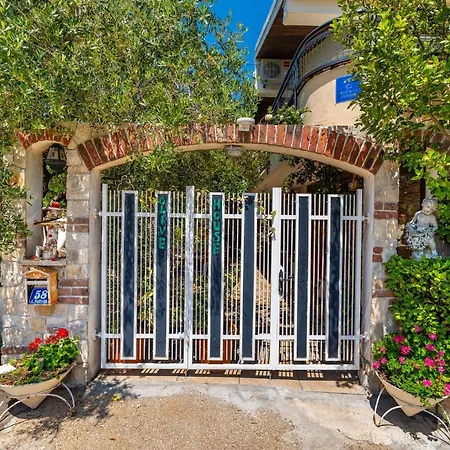 Olive House בית נופש זאדאר