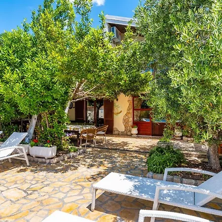 Olive House *